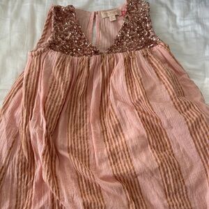 Pink Chicken Sequin Dress - Pink and Brown
